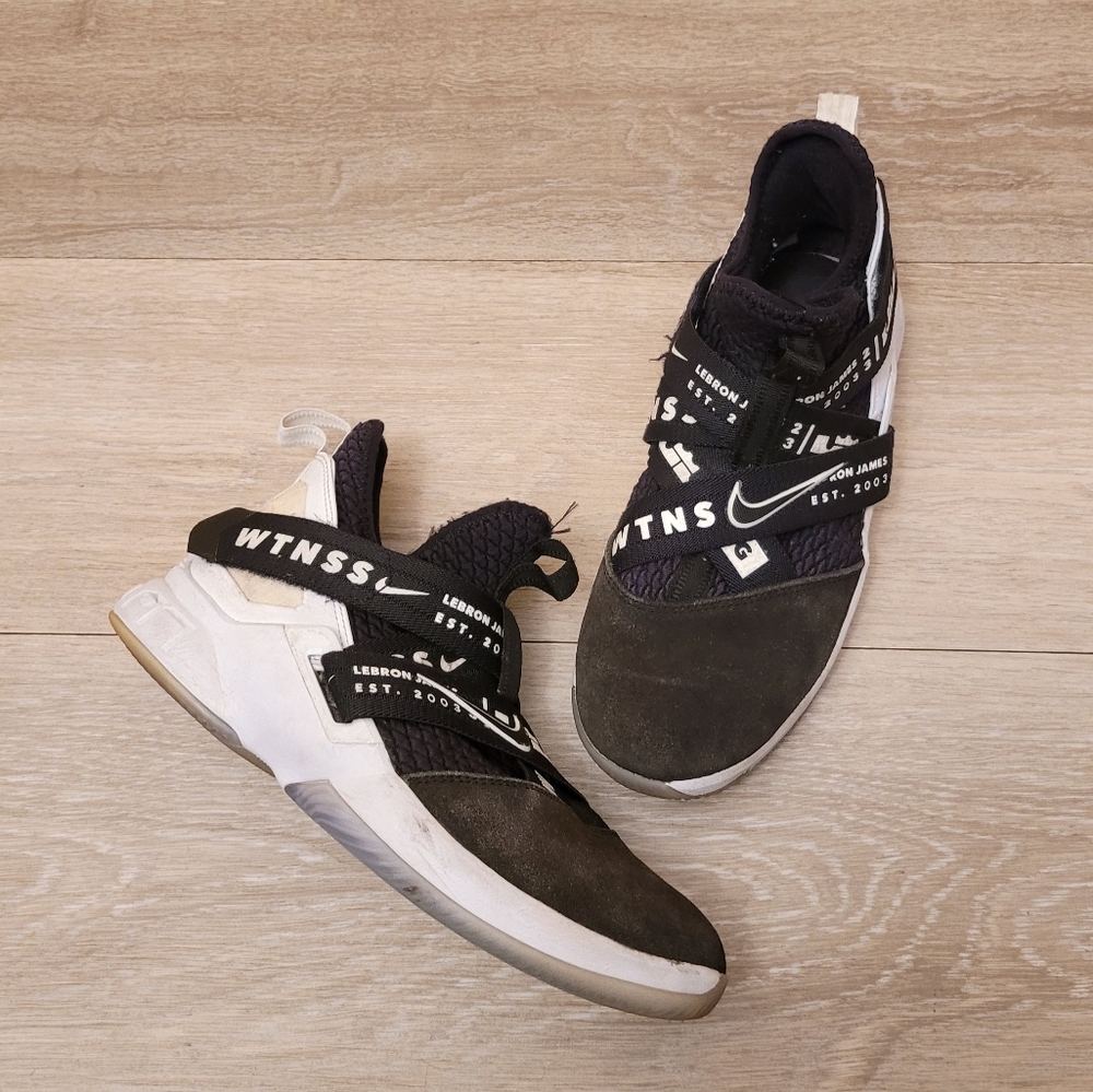 Nike LeBron Sneakers
